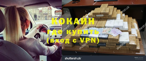 прущие грибы Арсеньев