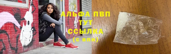 прущие грибы Арсеньев
