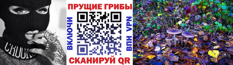 Купить закладки  Струнино  Псилоцибиновые грибы ЛСД 